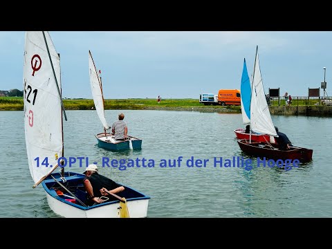 ⛵️ 14. OPTI-Regatta beim Schleusenfest auf Hallig Hooge – Segelspaß für die Kleinsten!