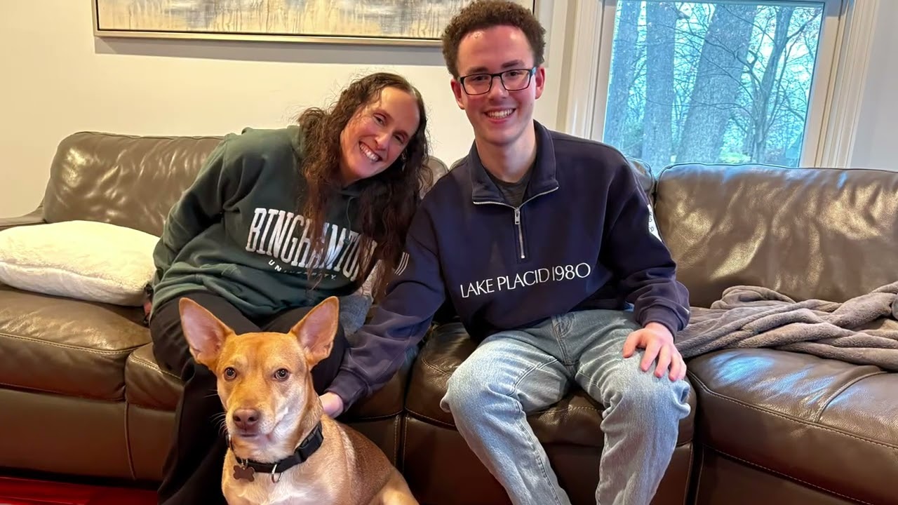 Enlarge Chico, a Adoptable mixed breed in Harrison, NY video 2/6