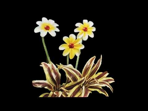 1998 Teletubbies Flowers