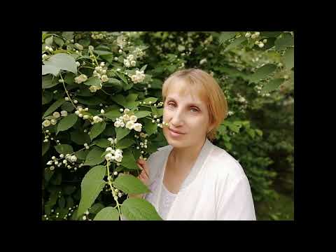 Luigi Bernauer m. Otto Stenzel "Scala" Orchester - Mein entzückendes Fräulein