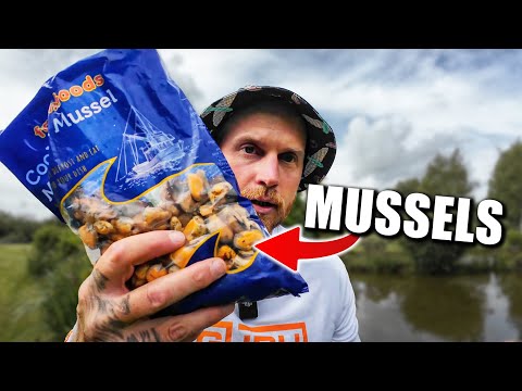 This is 'THE BEST' Bait I've ever used!