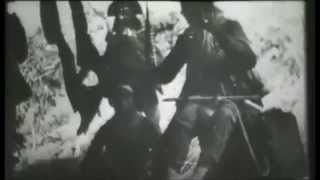 Essa dança é moda - DJ Dolores & Orquestra Santa Massa (tributo Luiz Gonzaga)