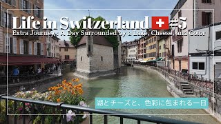 France Vlog 🇫🇷 #5: Raclette Sandwich Picnic at Lake Annecy | A Heartfelt Farewell Dinner