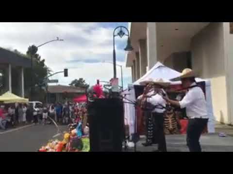 Promotional video thumbnail 2 for Mariachi Trio El Mexicano