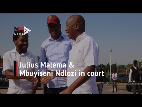 EFF's Malema and Ndlozi briefly appear in court for assault case