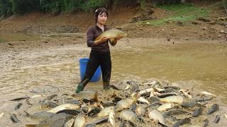 Fishing Techniques, Fishing Skills, Harvesting Big Fish #fishing