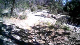 strawberry peak loop - first descent of Colby Canyon Trail to Strawberry Meadow