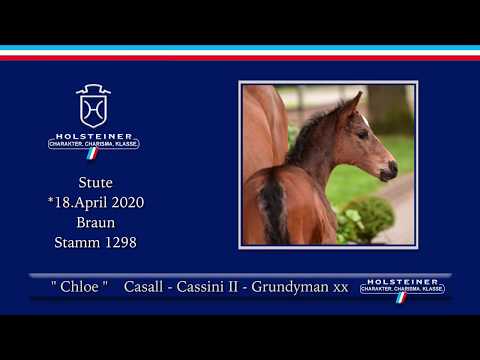 Holsteiner Fohlenauktion am 13. Juni |  27 Chloe