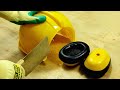 Stop Motion Cooking Make Chicken Sandwich From Protective Gear ASMR 4K
