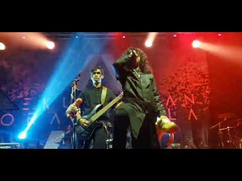 Cycryptic - Zygomorphic | [Live] SOG Showcase 2022