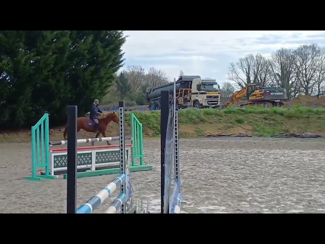 Irish draught pp parfait amateur