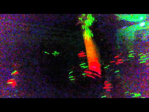 Rootsman Skanking vol.4 - Steppa Warriors ina di haus!