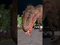 Dinosaurs Attack Policeman's Car | Dinosaur Chase Lady #dinosaur