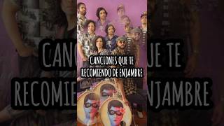 Canciones que te recomiendo de Enjambre p.1#enjambre #shorts #rockmexicano #rockenespañol #indierock