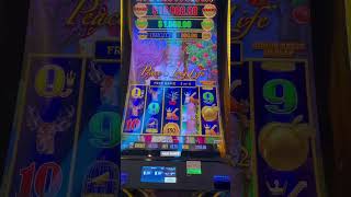 FINAL PART MAXED OUT MAJOR & GRAND JACKPOT DRAGON LINK SLOT MACHINE  #highlimit #casino #slot