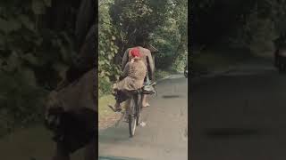 Download lagu MENUA BERSAMAMU mp3 Download lagu MENUA BERSAMAMU mp3