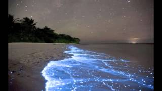 stagnant pools - waveland