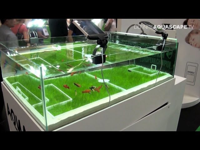 Aquarium Ideas from InterZoo 2012 - AquaEl (pt. 4)