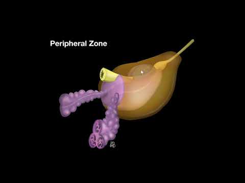 Prostatitis finasteride reddit