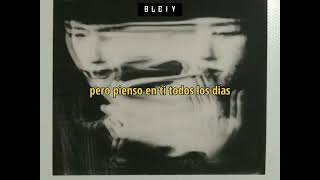 THE VANDALS- CANINE EUTHANASIA sub español