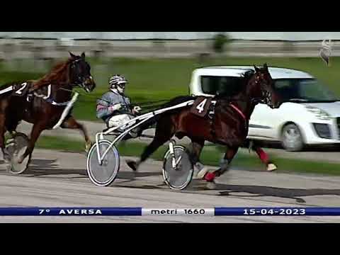 Aversa trotto 15 Aprile 2023 - 7° Corsa