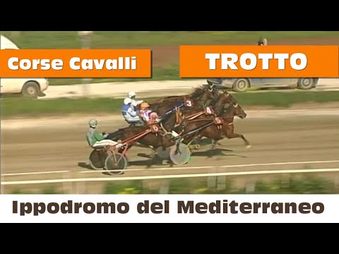Corse Cavalli di Trotto del 28 Gennaio 2021