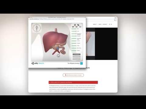 3D interactive anatomy module demo - YouTube