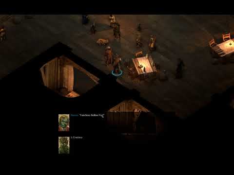 Let's Play Pillars of Eternity II: Deadfire - 21 - no commentary