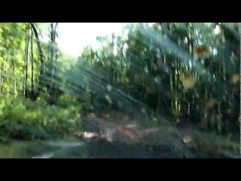 Offroad Beius-Moneasa with Patrol Y60