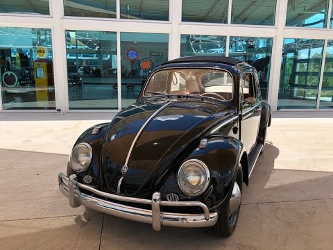 1961 Volkswagen Beetle (CC-1603760) for sale in Palmetto, Florida