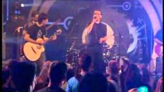 Maldita Nerea - El secreto de las tortugas