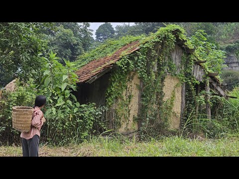 An Infertile Woman Discovers an Abandoned House – Her Life Changes Forever