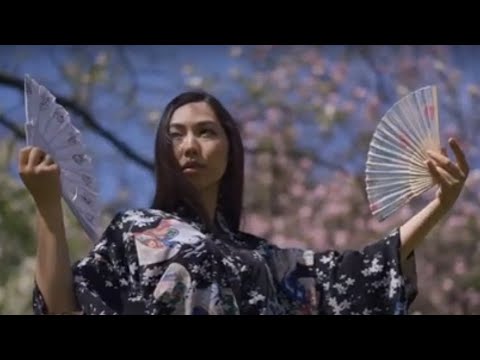 Play Video Youtube Video