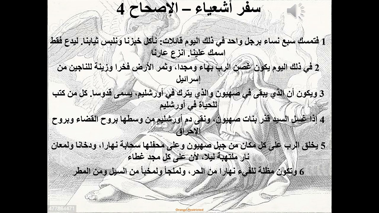 فيديو تفسير الكتاب المقدس | الكتاب المقدس رفيقي