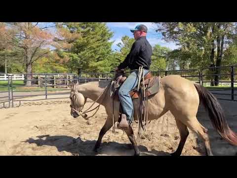Filly's 2nd ride. How to motivate the lazy horse and how I discourage bucking