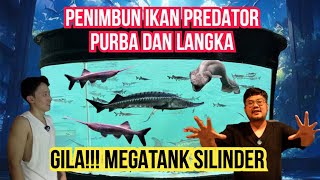 SULTAN GILA‼️BUAT MEGATANK SILINDER UNTUK TIMBUN IKAN PREDATOR PURBA DAN LANGKA‼️