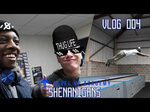 VLOG 4 LEVEL UP SHENANIGANS