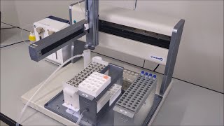 動画のサムネイル