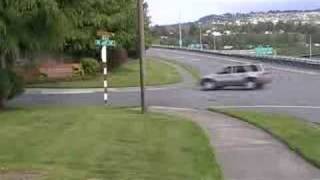 Bluebirds Music Video