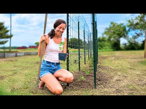 How We Plant LESS…and Harvest MORE