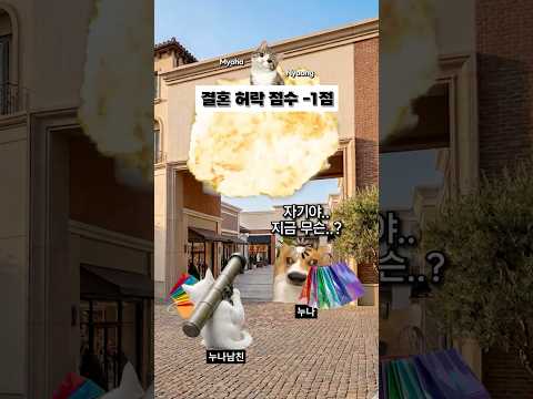 바람피우는 줄 오해한 남친의 대참사...#고양이밈