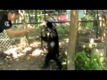 Wellington Zoo visits Phnom Tamao Sanctuary in Cambodia.