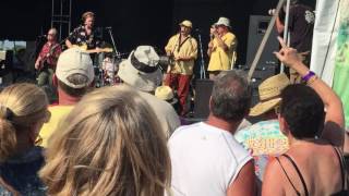 NRBQ live @ great south bay fest 2016