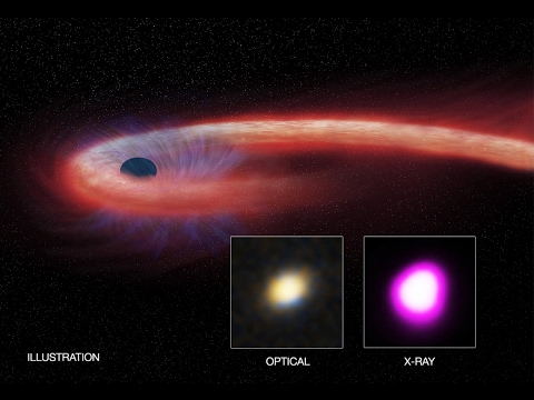 Lenta agonia d'una stella nelle fauci del buco nero