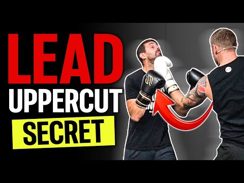 How to Throw Lead Uppercut in Boxing