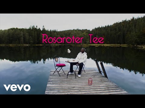 Video thumbnail for Rosaroter Tee