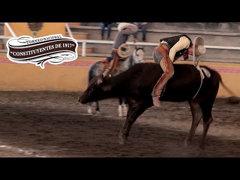 Jineteo de Toro dia 18 febrero -Torneo Constituyentes de 1917 Arroyo Negro 2022