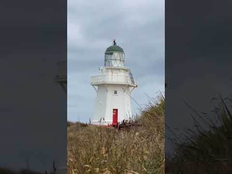 Waipapa Point #lighthouse #newzealand #touristplace