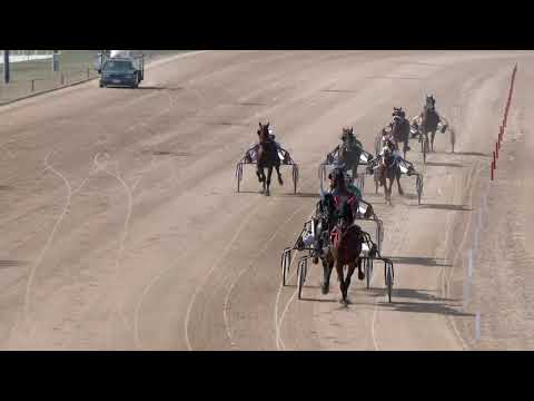 2019.03.30. 01. futam - FENYVES DÍJ