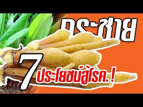 เหตุผลสำหรับความล้มเหลวของความแข็งแรง พรูค้อนในร้านขายยา krasnodare